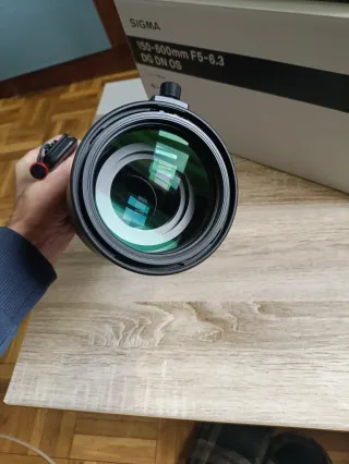 Sigma 150-600mm DG DN Sports L-Mount