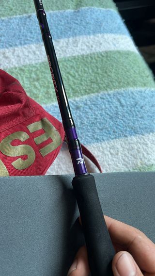 Caña Daiwa Prorex AGS 802HFS