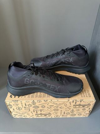 Nike Pegasus Trail 4 GTX V2