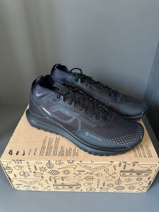 Nike Pegasus Trail 4 GTX V2