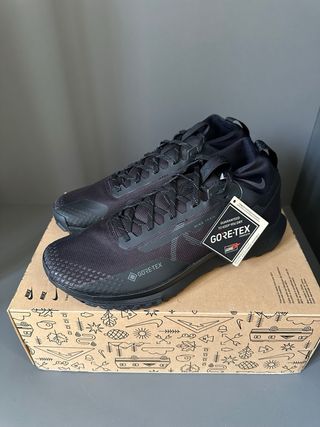 Nike Pegasus Trail 4 GTX V2