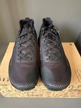 Nike Pegasus Trail 4 GTX V2