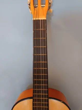 Guitarra Clásica Principiante