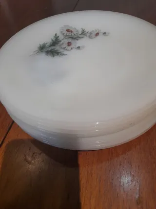 9 Piatti Arcopal Margarita Piatti e mantecare lot