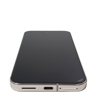 Google Pixel 9 Pro XL Plata