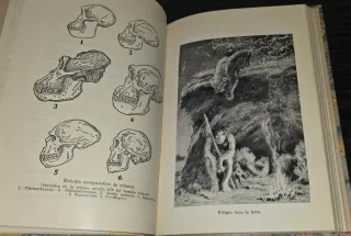 1951, Hombre Prehistórico - Libro antiguo Historia
