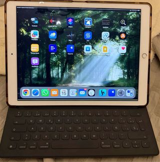 iPad Pro 12.9 2ª Gen Dorado Wifi-Celular 512 Gb