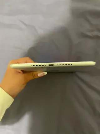 iPad mini 4 Plateado