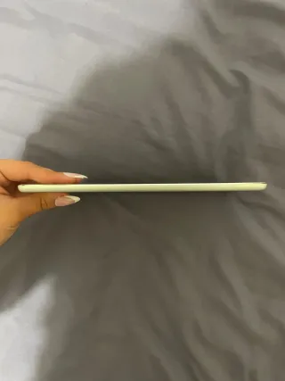 iPad mini 4 Plateado