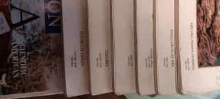 7 Revistas de "Investigación Y Ciencia"