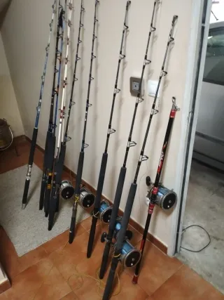 Conjunto cañas y carretes Penn pesca