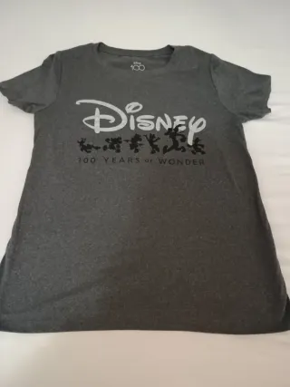 Camiseta Disney 100 Años de Maravilla Gris