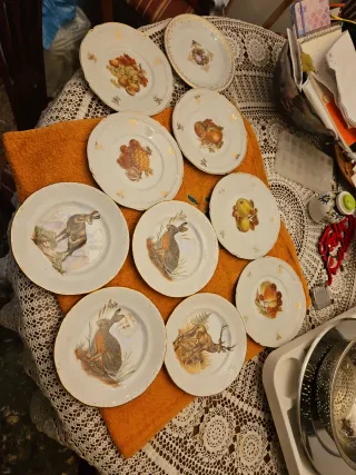 10 piatti di porcellana con motivi fruttati