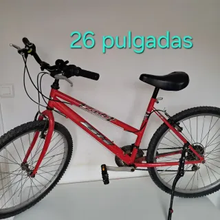 Bicicleta MTB cambio marchas 26 24 18 14