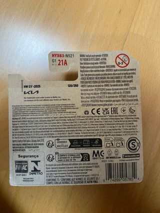 Hot Wheels Custom Kia EV6