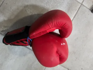 Lote Guantes Boxeo Rojos