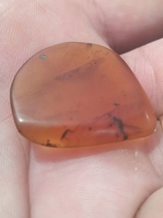 Lote Luna ámbar con inclusiones