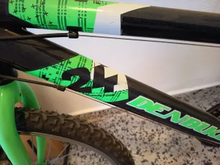 Bicicleta Montaña Rodado 24