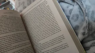 No culpes al karma de lo que te pasa por gilipo...