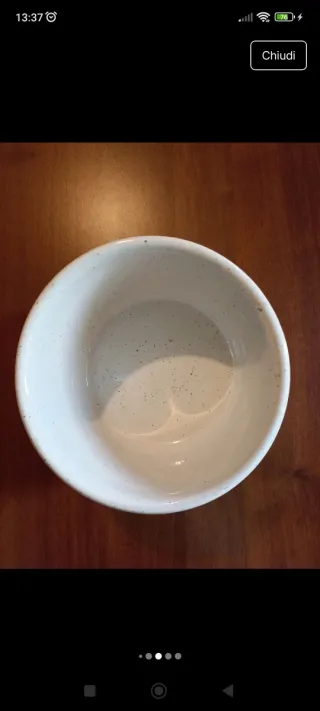 Biscottiera in ceramica decorata limoni