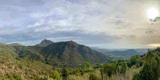 Se compran naranjas y mandarinas pago al contado.