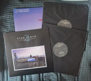 LP Pink Floyd A Momentary Lapse of Reason