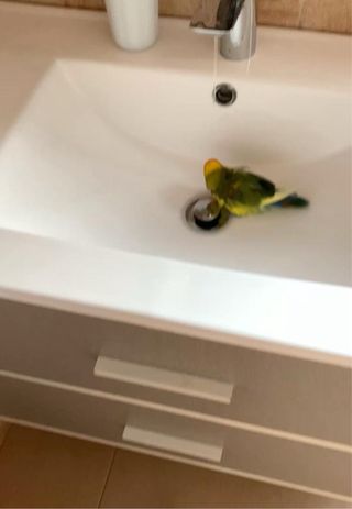 Mueble de baño gris con lavabo sin grifo.