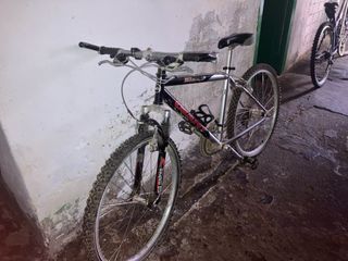 Bicicleta Giant Boulder Argento