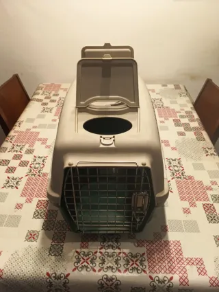 Transportín Gato/Perro Pequeño Beige/Verde