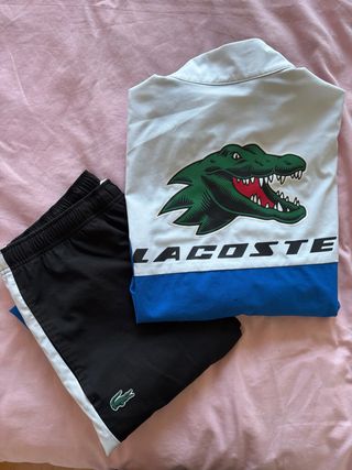 Conjunto Chándal Lacoste Cocodrilo