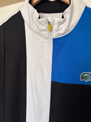 Conjunto Chándal Lacoste Cocodrilo