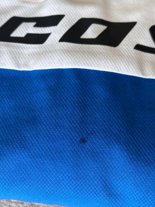 Conjunto Chándal Lacoste Cocodrilo