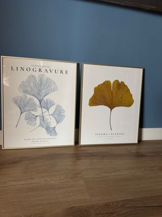 CUADROS BOTÁNICOS GINKGO CON MARCO – NUEVOS