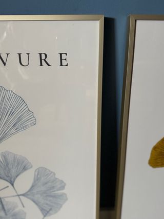 CUADROS BOTÁNICOS GINKGO CON MARCO – NUEVOS