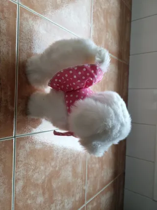 Peluche Perrita Perry 3-4 años