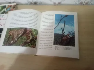 Libros de naturaleza infantil