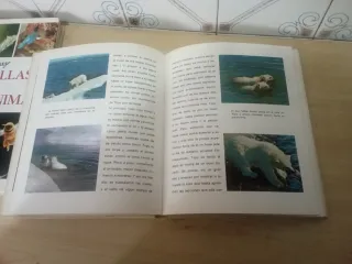 Libros de naturaleza infantil