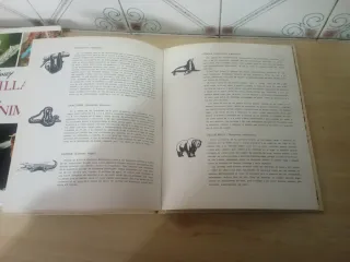 Libros de naturaleza infantil
