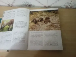 Libros de naturaleza infantil