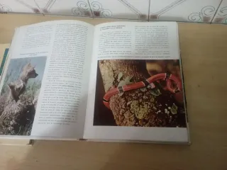 Libros de naturaleza infantil