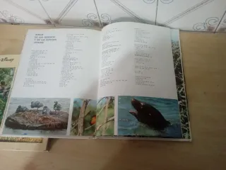 Libros de naturaleza infantil