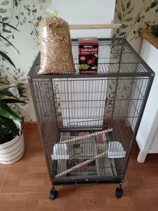 Jaula para loros, ninfas, agapornis - 1 semana