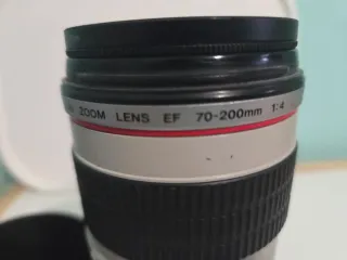 Canon EF 70-200mm f/4 L Zoom Lens