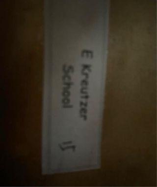 Viola E kreutzer school 15”