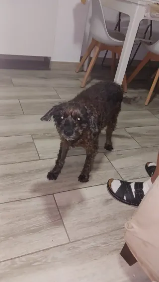 Plaza de garaje y trastero ,frente rest.la español