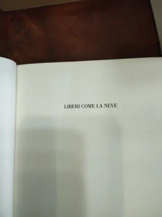 LIBERI COME LA NEVE e il narratore di storie