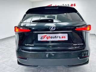 Lexus NX 300h Sport Edition 197CV