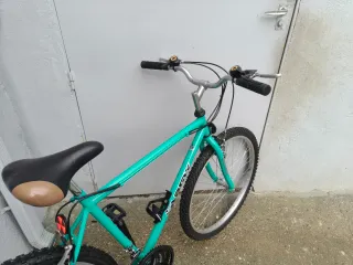 Bicicleta montaña