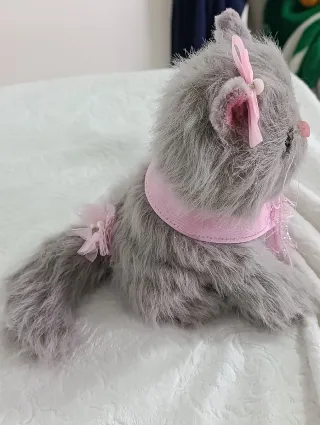 Gatita Reborn bebé silicona.