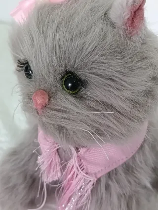 Gatita Reborn bebé silicona.